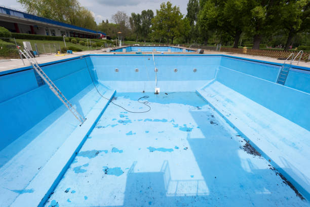 Best Professional water damage repair  in Gosport, IN