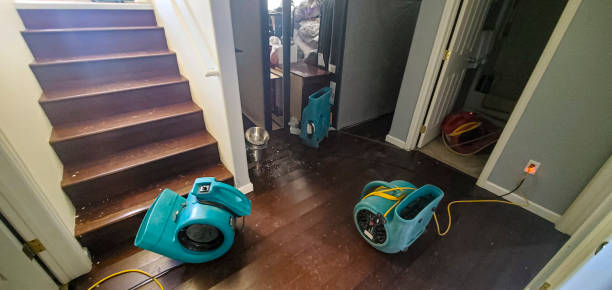 Best Fire Damage Restoration  in Gosport, IN