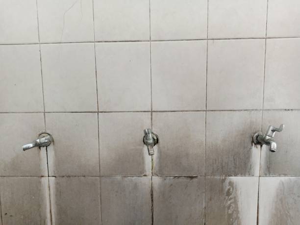 Best Ceiling water damage repair  in Gosport, IN