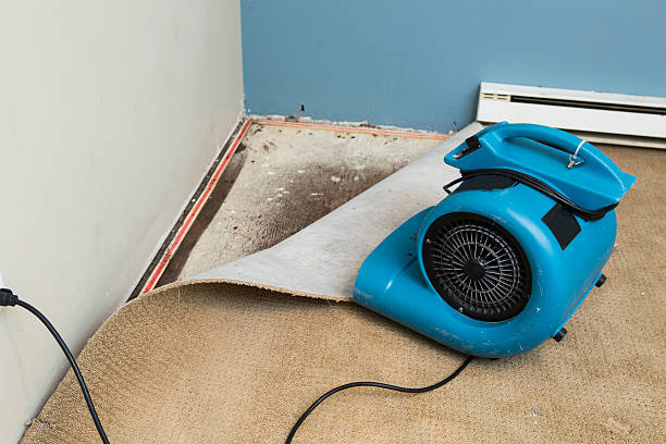 Best Basement water damage restoration  in Gosport, IN